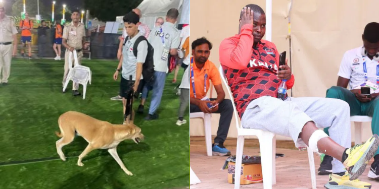 இந்தியத் தலைநகரில் வெளிநாட்டு பயிற்சியாளர்களை தெருநாய்கள் கடித்தன 